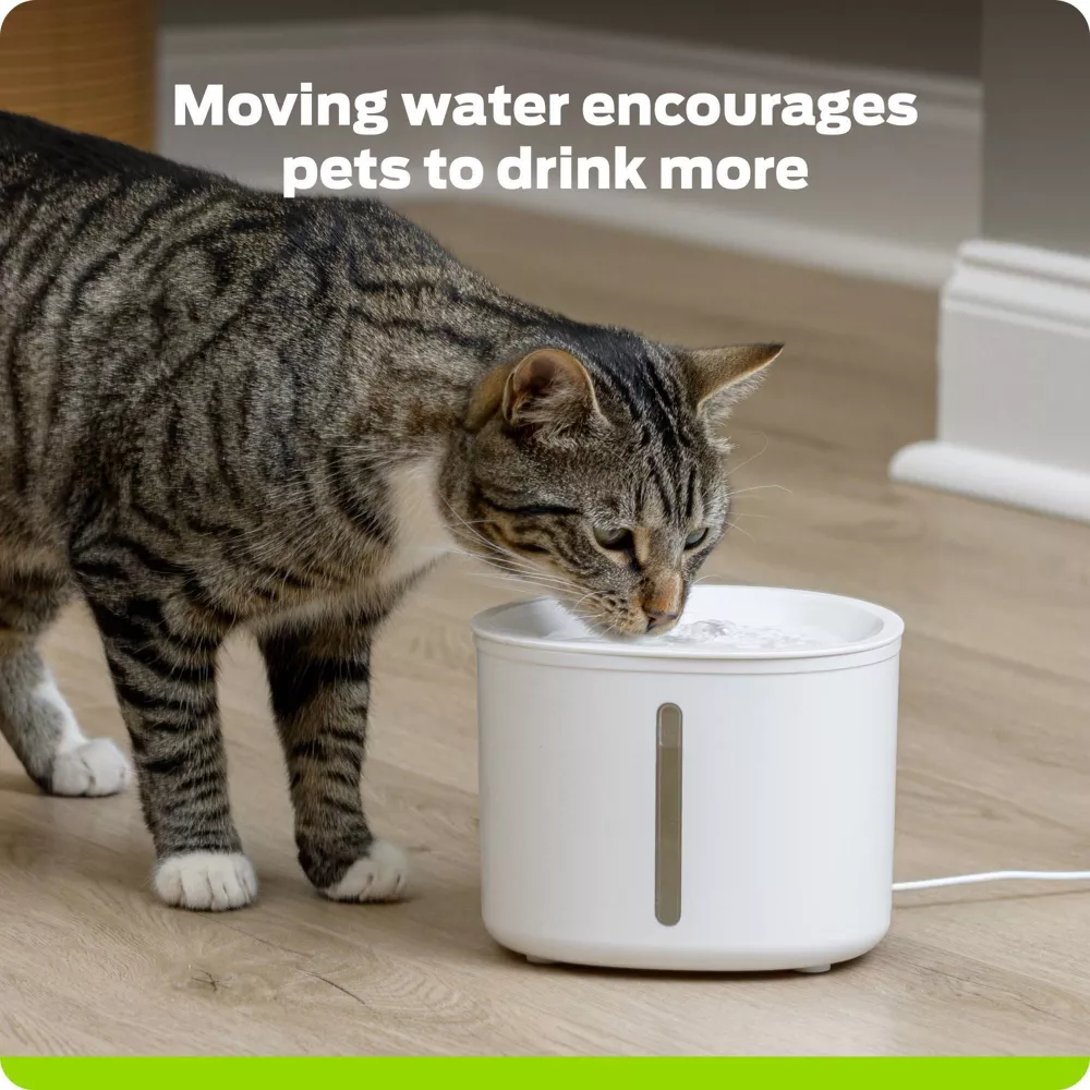 54oz Circulating Pet Water Fountain With Dual Filtration & Adjustable Flow For Cats Small Dogs