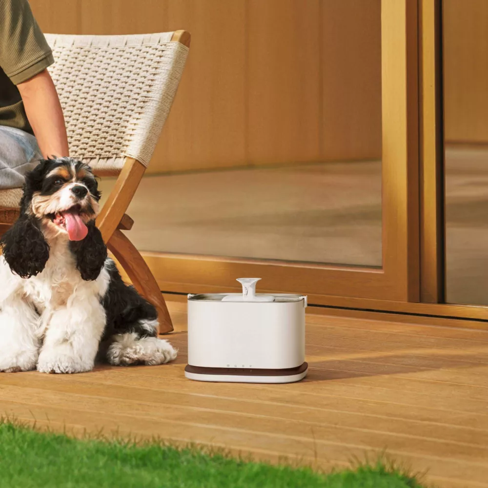 3L Cordless Smart Pet Water Fountain With App Hydration Monitoring & 4-Layer Filtration