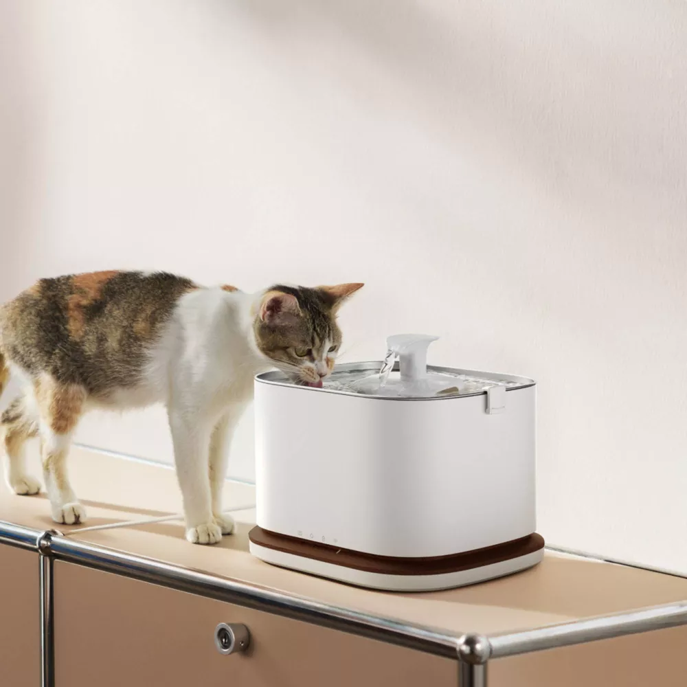 3L Cordless Smart Pet Water Fountain With App Hydration Monitoring & 4-Layer Filtration